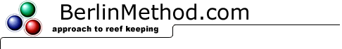 BerlinMethod.com